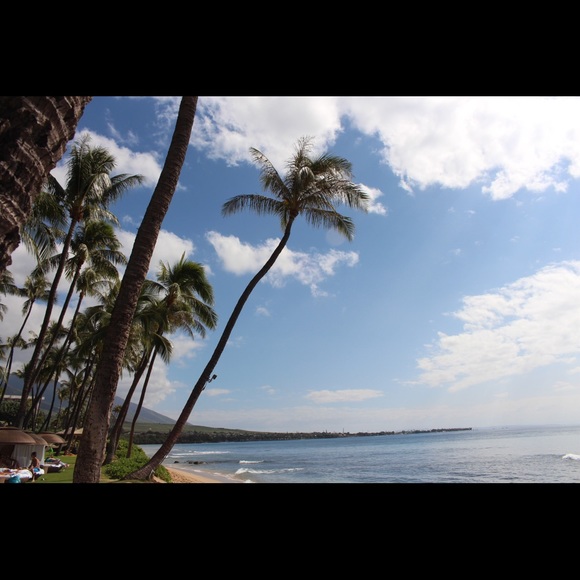 Meet your Posher, Melissa - Picture 1 of 1