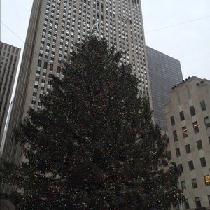 Meet your Posher, Katrina