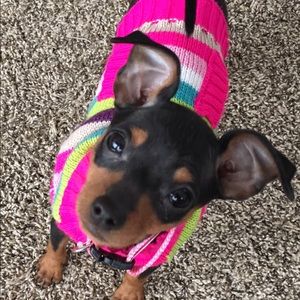 Meet your Posher, Tausha