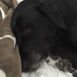 Meet your Posher, Tanya