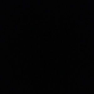 Meet your Posher, Charr