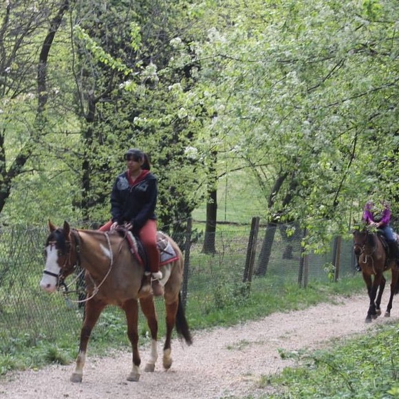 Meet your Posher, Nydia - Picture 4 of 4