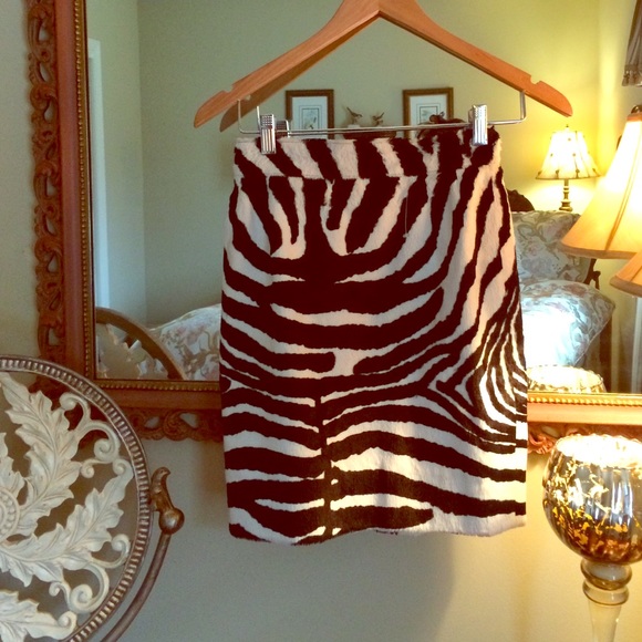 Zebra Print Skirt