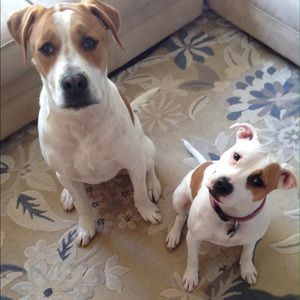 Meet your Posher, Julia