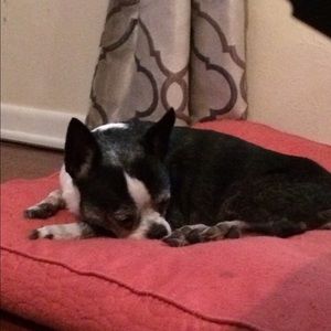 Meet your Posher, Lory