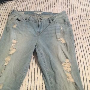 Torrid jeans