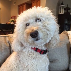 Meet your Posher, Keely