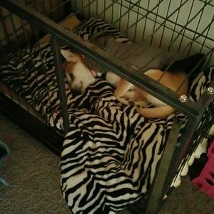 Meet your Posher, Cameron