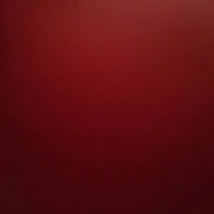 Meet your Posher, Hayley