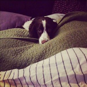 Meet your Posher, Haley