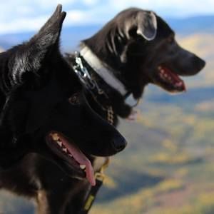 Meet your Posher, Liz