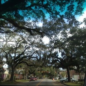 Meet your Posher, Cameron