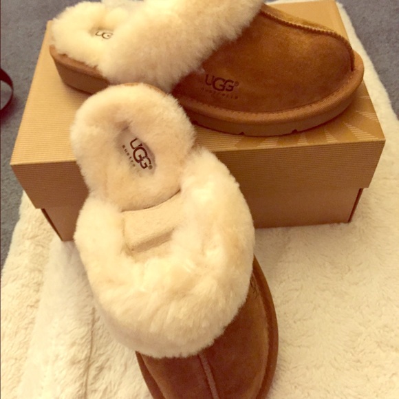 UGG Shoes - Ugg cozy 2 slippers size 6, water resistance NWB!!