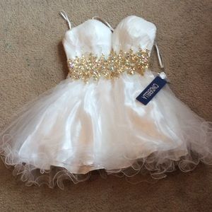 Cinderella prom/homecoming dress