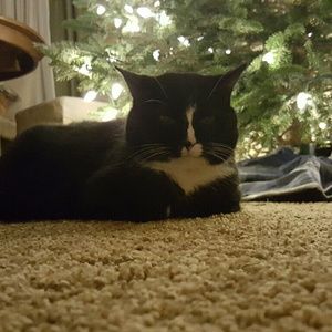 Meet your Posher, Tracy