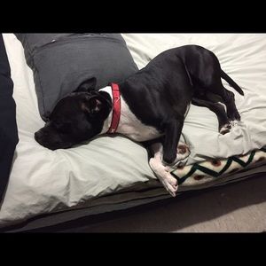 Meet your Posher, Silvia