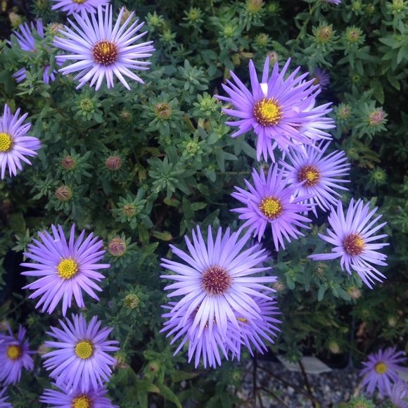 Meet your Posher, Kim - Picture 1 of 1