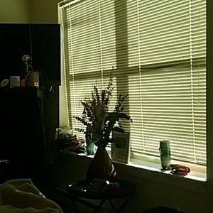 Meet your Posher, Leonel