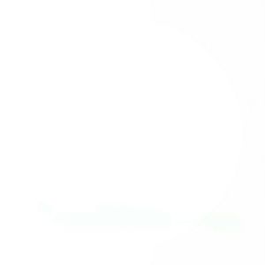 Meet your Posher, Torri