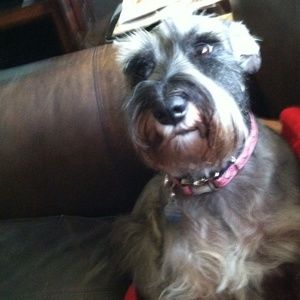 Meet your Posher, Gina