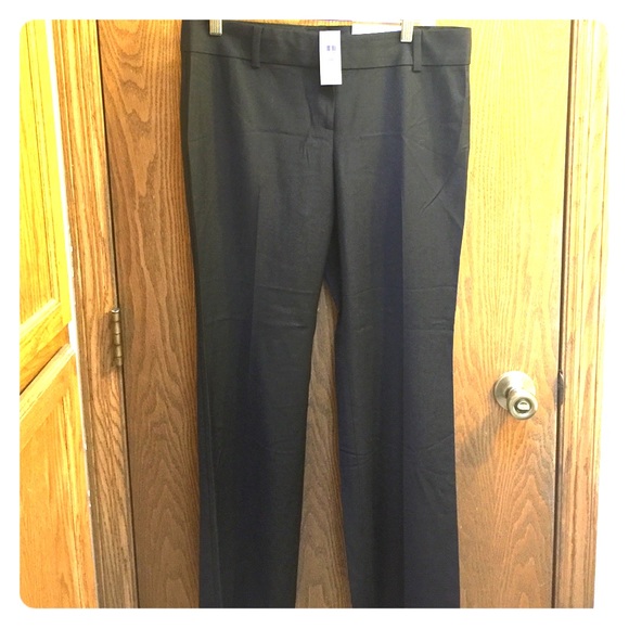 Ann Taylor City fit trouser leg