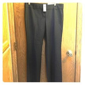 Ann Taylor City fit trouser leg