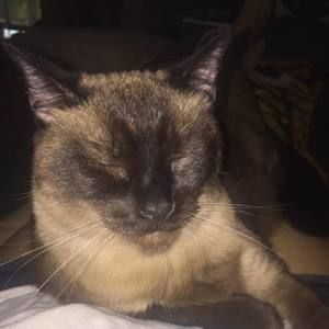 Meet your Posher, Alanda