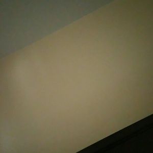 Meet your Posher, Beatriz