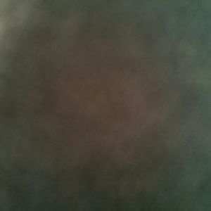 Meet your Posher, Katy