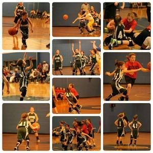 Meet your Posher, Shanon