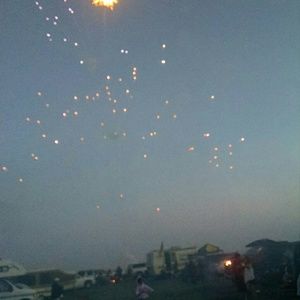 Meet your Posher, Daisy