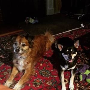 Meet your Posher, Natalie