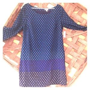 Cute! Blue with Dots Dress (L)