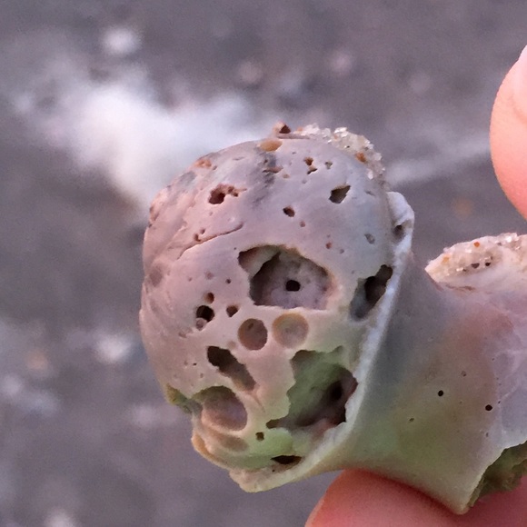 Meet your Posher, Alison - Picture 1 of 1