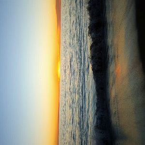 Meet your Posher, Chuy