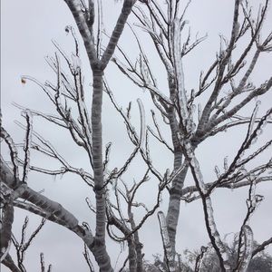 Meet your Posher, Terra