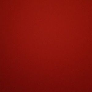 Meet your Posher, Lexy