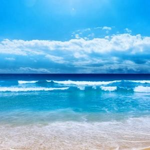 Meet your Posher, Marissa