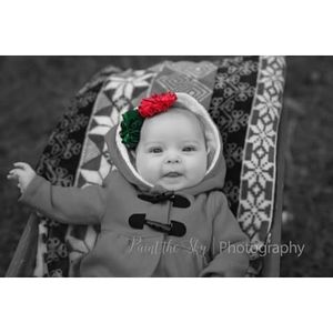 Meet your Posher, Fish