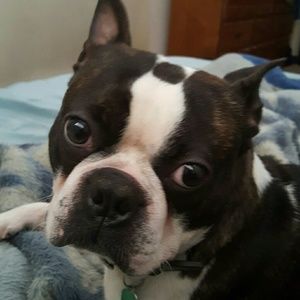 Meet your Posher, Rosemary