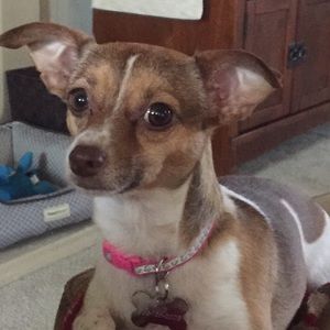 Meet your Posher, Nancy