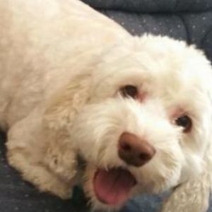 Meet your Posher, Tamara