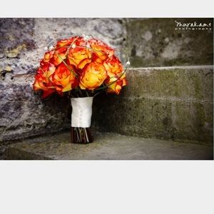 Meet your Posher, Noelle