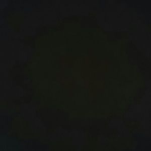 Meet your Posher, Mya