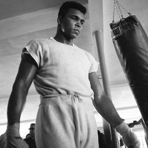 Meet your Posher, Stephen