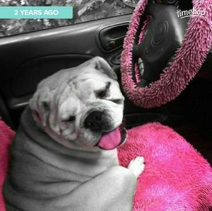 Meet your Posher, Jennifer