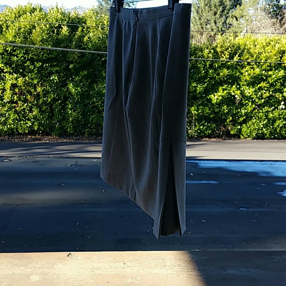 The Limited skirt