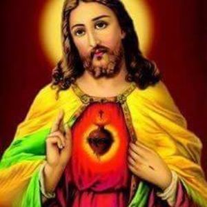 Meet your Posher, Solomon