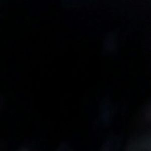 Meet your Posher, Adrian