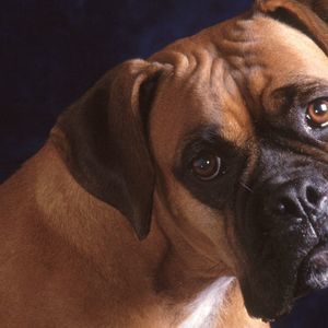 Meet your Posher, Jody